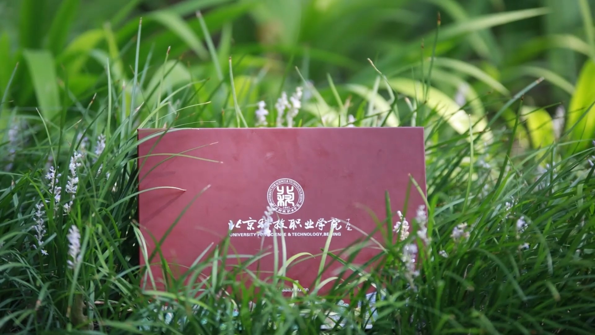 录取通知书正在路上 #录取通知书 #录取通知书接好了 #大学校园